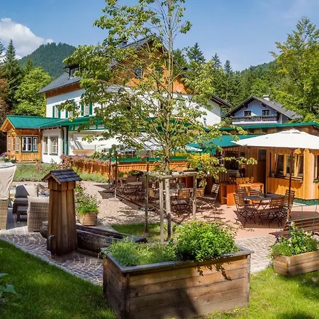 Waldruhe - Bett, Fruehstueck & Ein Laecheln ベッド・アンド・ブレックファスト バート・アウスゼー